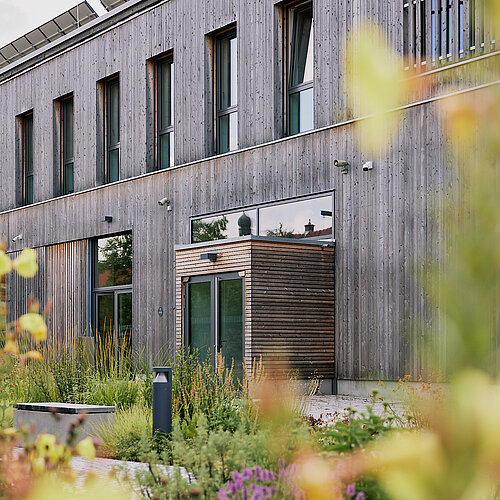 Im Vordergrund gelb blühende Nachtkerzen, im Hintergrund die hölzerne Nordfassade des NAWAREUMs.