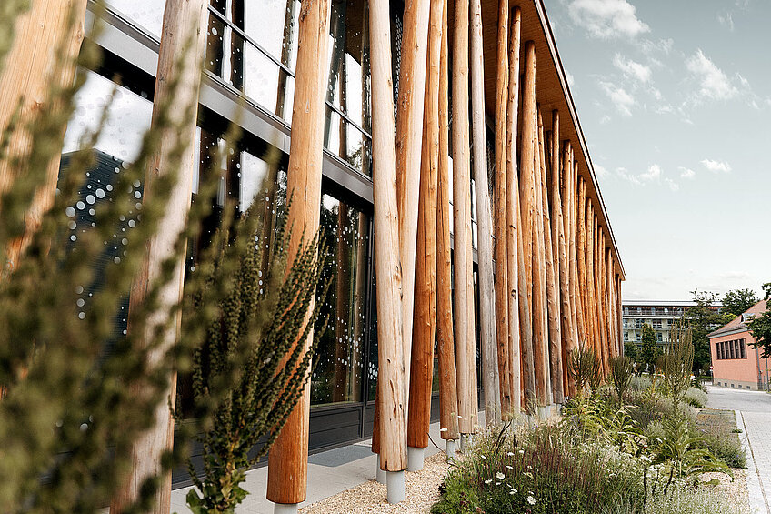 Blick entlang der von Baumstämmen gestützten Fassade des NAWAREUMs mit Steingarten im Vordergrund